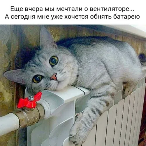 Отопление в Ленобласти начнут включать с 14 сентября. Первым о старте отопительного сез...