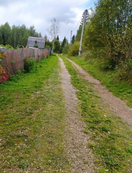 🐻За минувшую ночь под Красноярском застрелили 14 опасных медведей