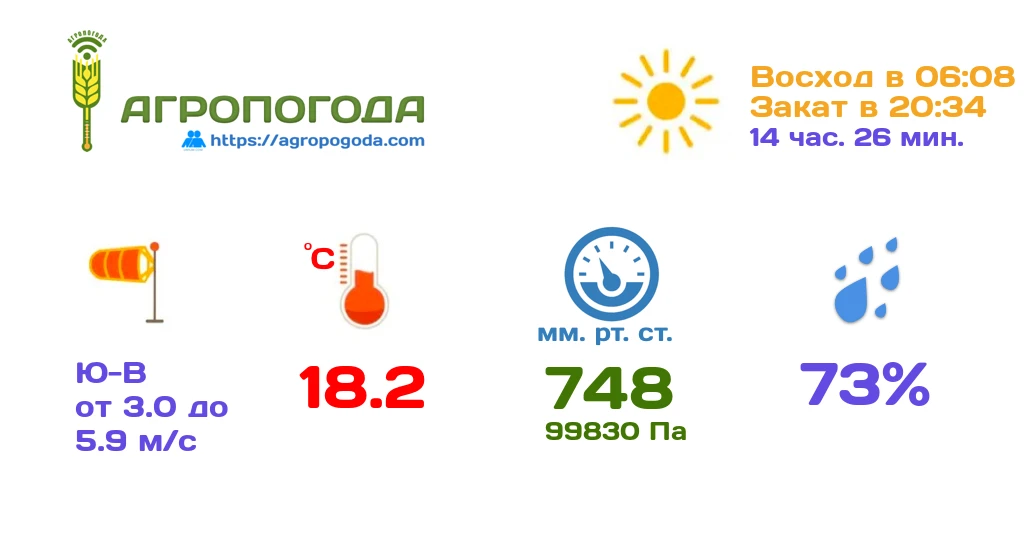 Агрометеорологическая сводка на 25.08.2026 (13:00)