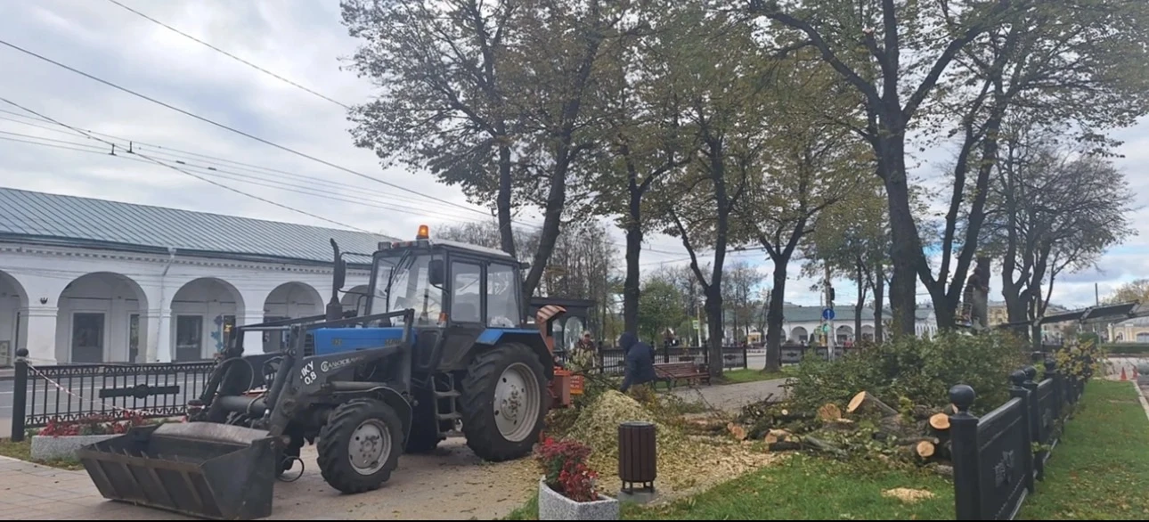 🌳В Ботниковском сквере высадят 22 молодые липы