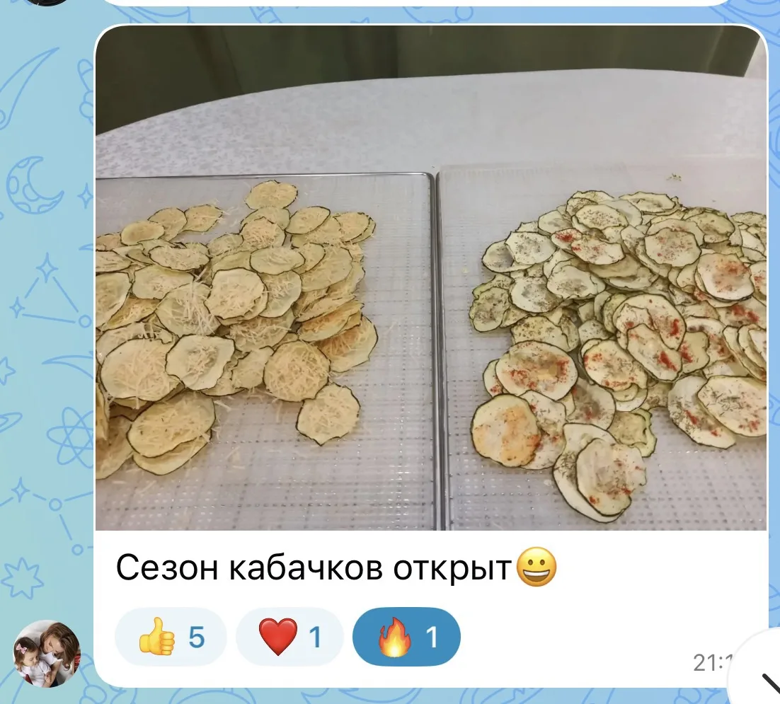 Чат Овощи в дегидраторе 💪