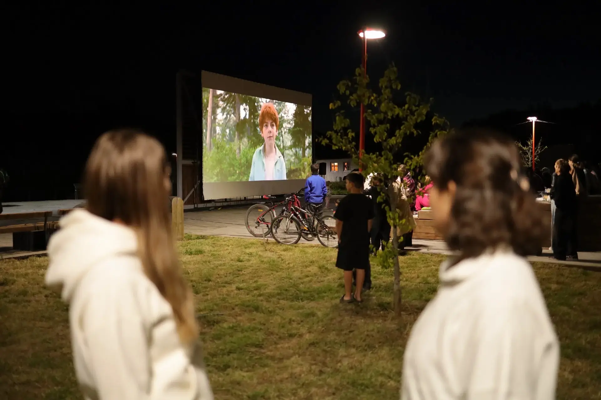 В Козьем парке Красноармейска состоялась ежегодная акция «Ночь кино» 🎥 🍿