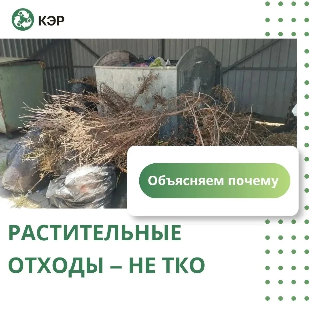 🌿 Растительные отходы — не ТКО. Что важно знать?

🍃 Скошенная трава, ветки, листья и другой растит
