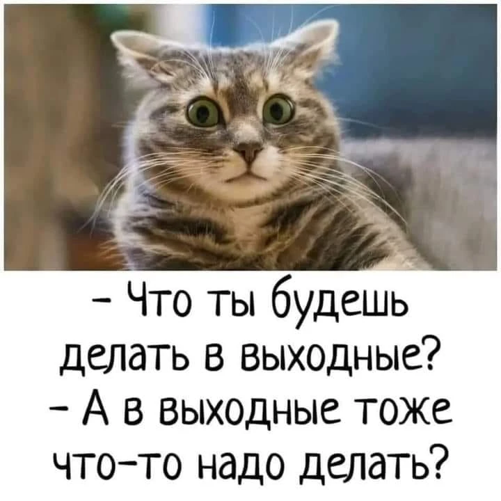 13 июня и переход Луны из тельца в близнецы
Луна без курса с 10:30 до 16:06 мск

День хорош и делитс