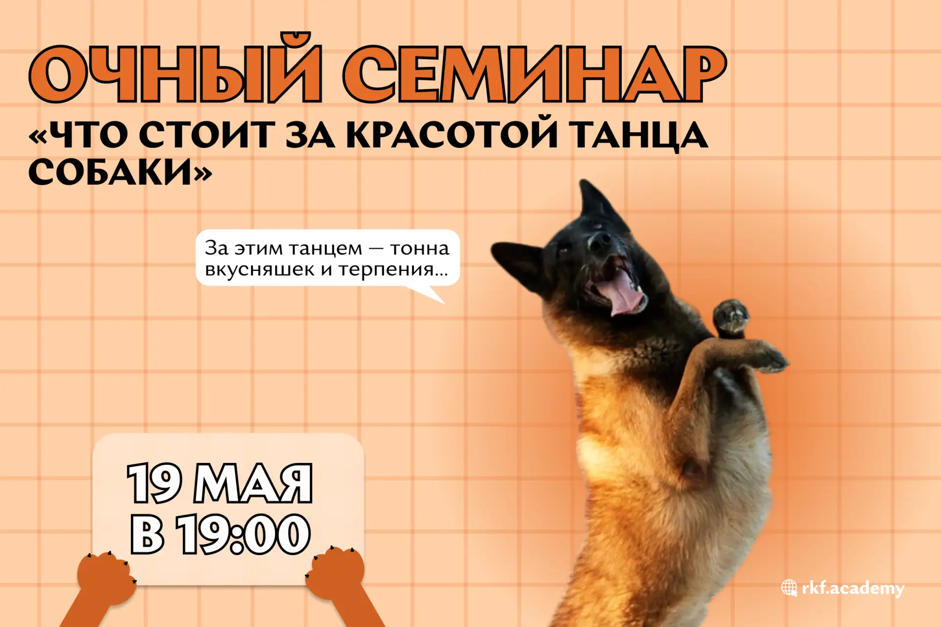 📣 Приглашаем на очный семинар «Что стоит за красотой танца собаки» — о том, как создаё...