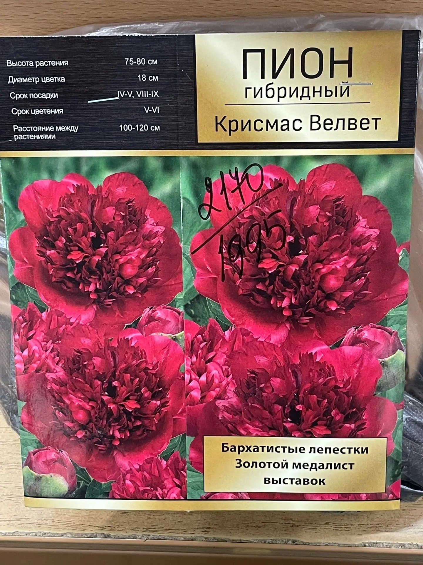 🌸 Пион – король сада. А какой будет жить в вашем?
