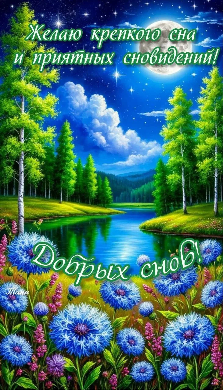 🎁Поздравления и открытки