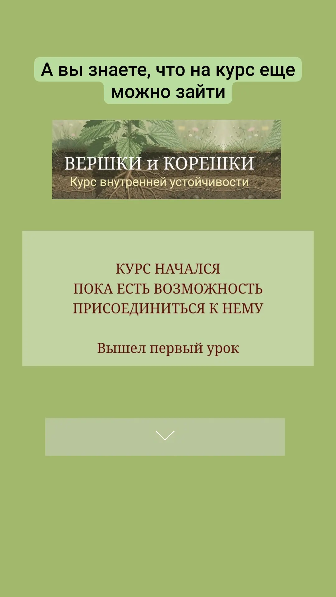 Nadezhda-lunina.ru/koreshok