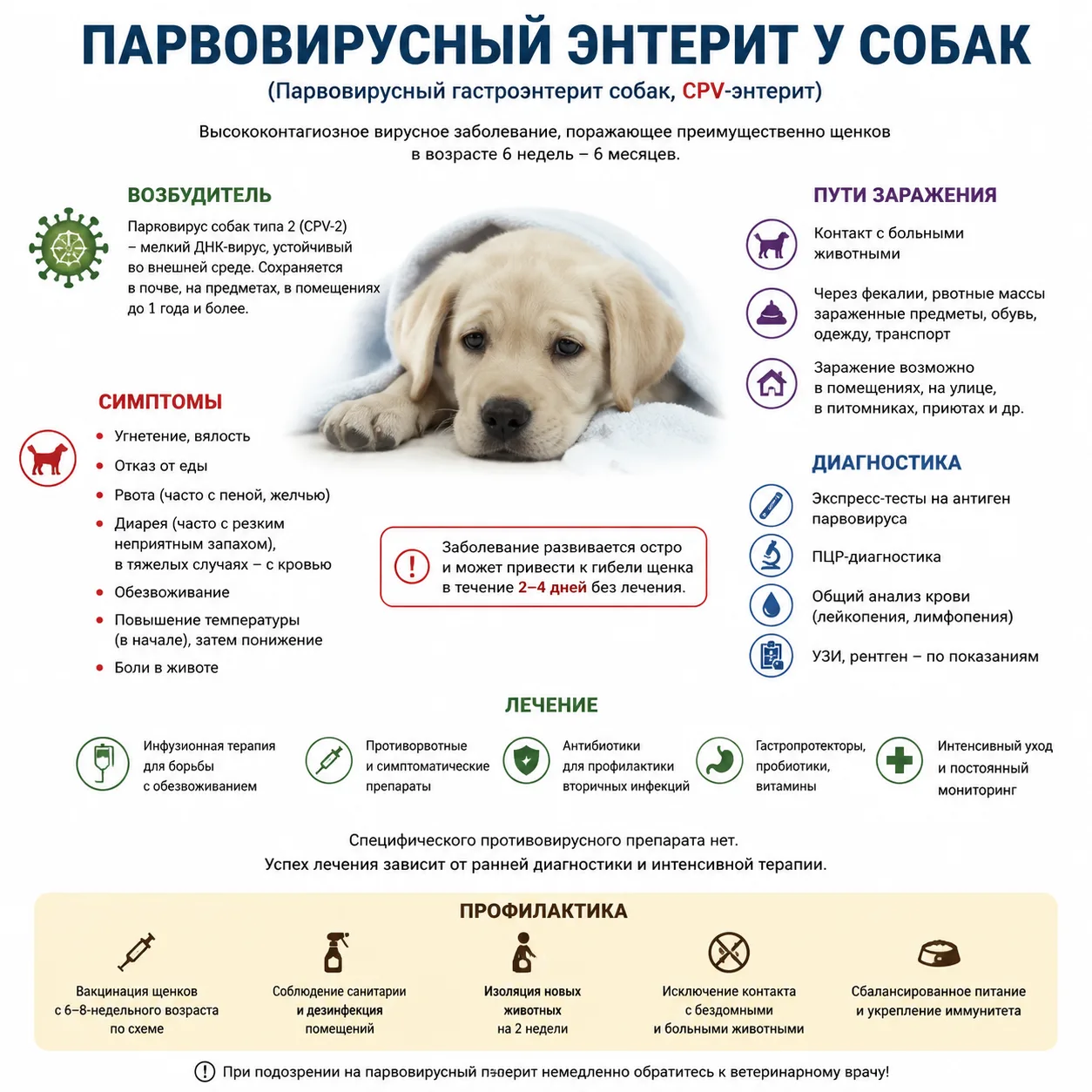 Парвовирусный энтерит (или просто «парвовирус») — это, пожалуй, самый страшный диагноз,...