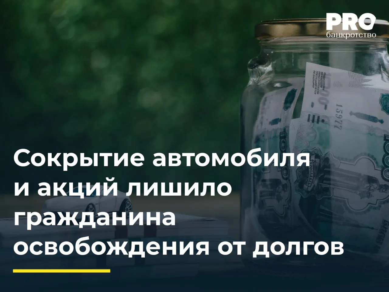 Сокрытие автомобиля и акций лишило гражданина освобождения от долгов