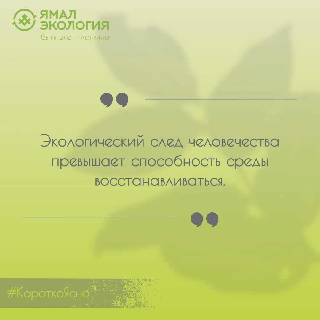 Мы здесь, чтобы просто #КороткоЯсно напомнить: "Не наследи!".