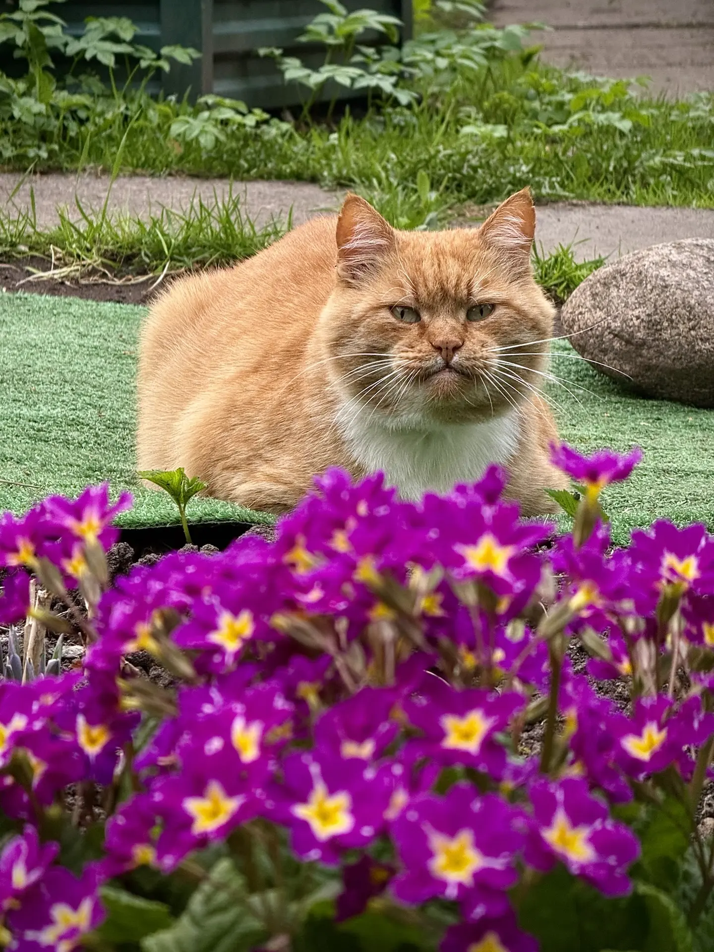 😺Май — ты прекрасен!