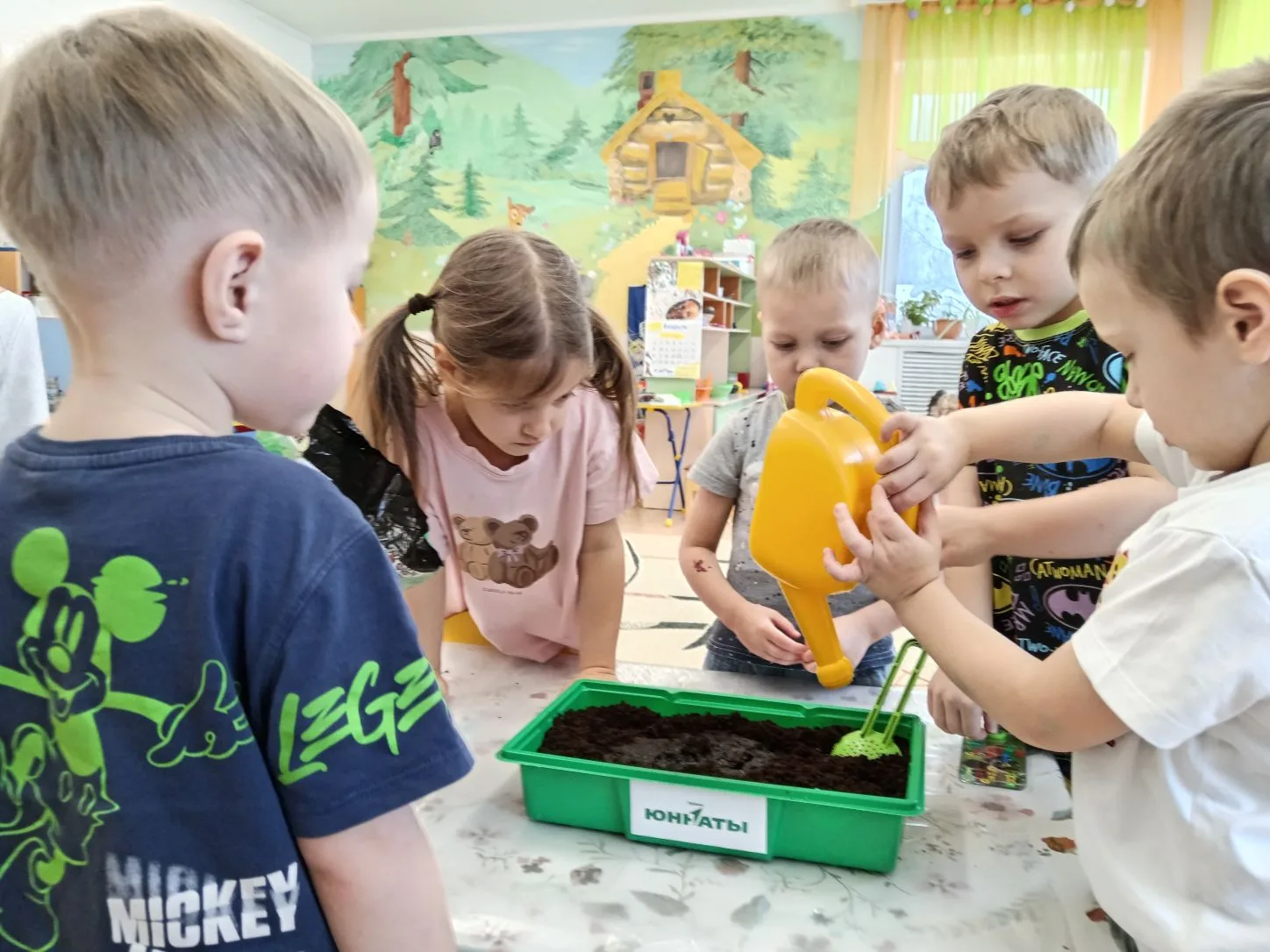 🌱 ОГОРОД НА ОКНЕ: ЭПОПЕЯ С ЧИПОЛИНО