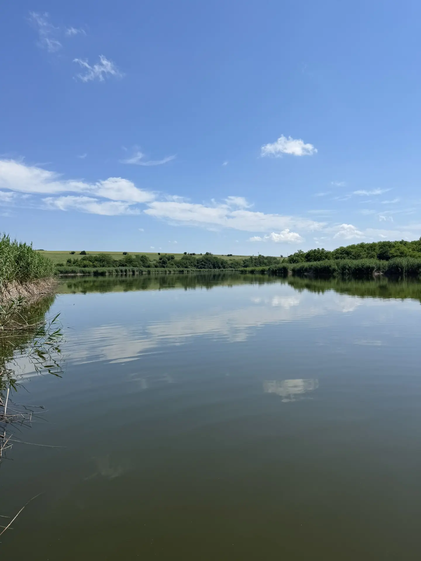 Всем сердцем люблю наш край и такие семейные выходные 💚