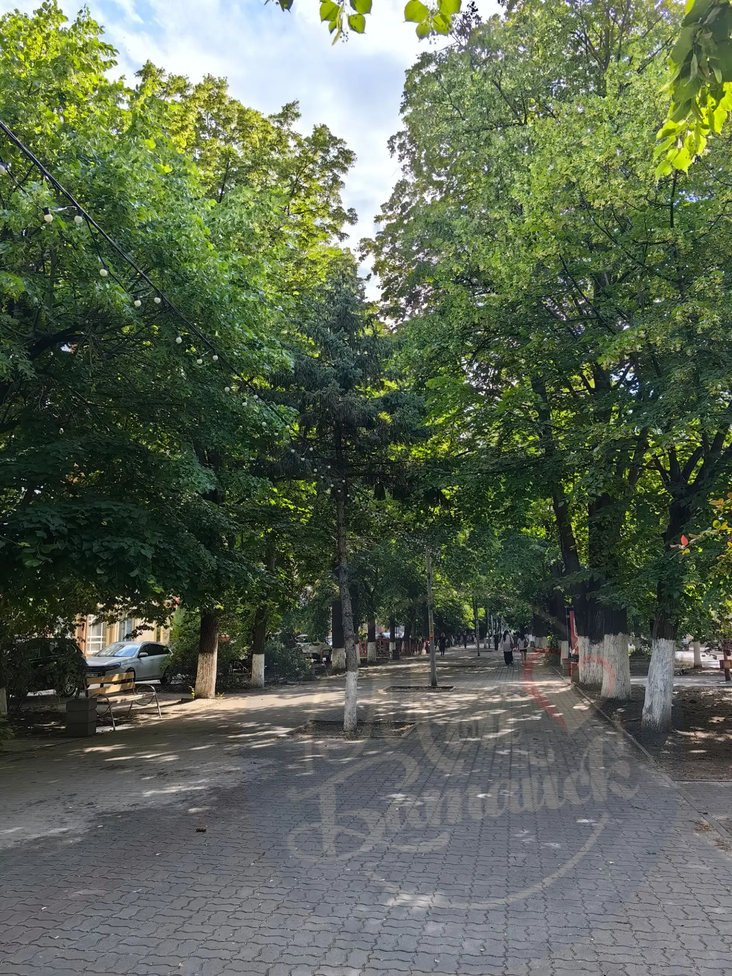 На аллее Кирова и в районе бывшего Зелёного театра очистили урны 🚮