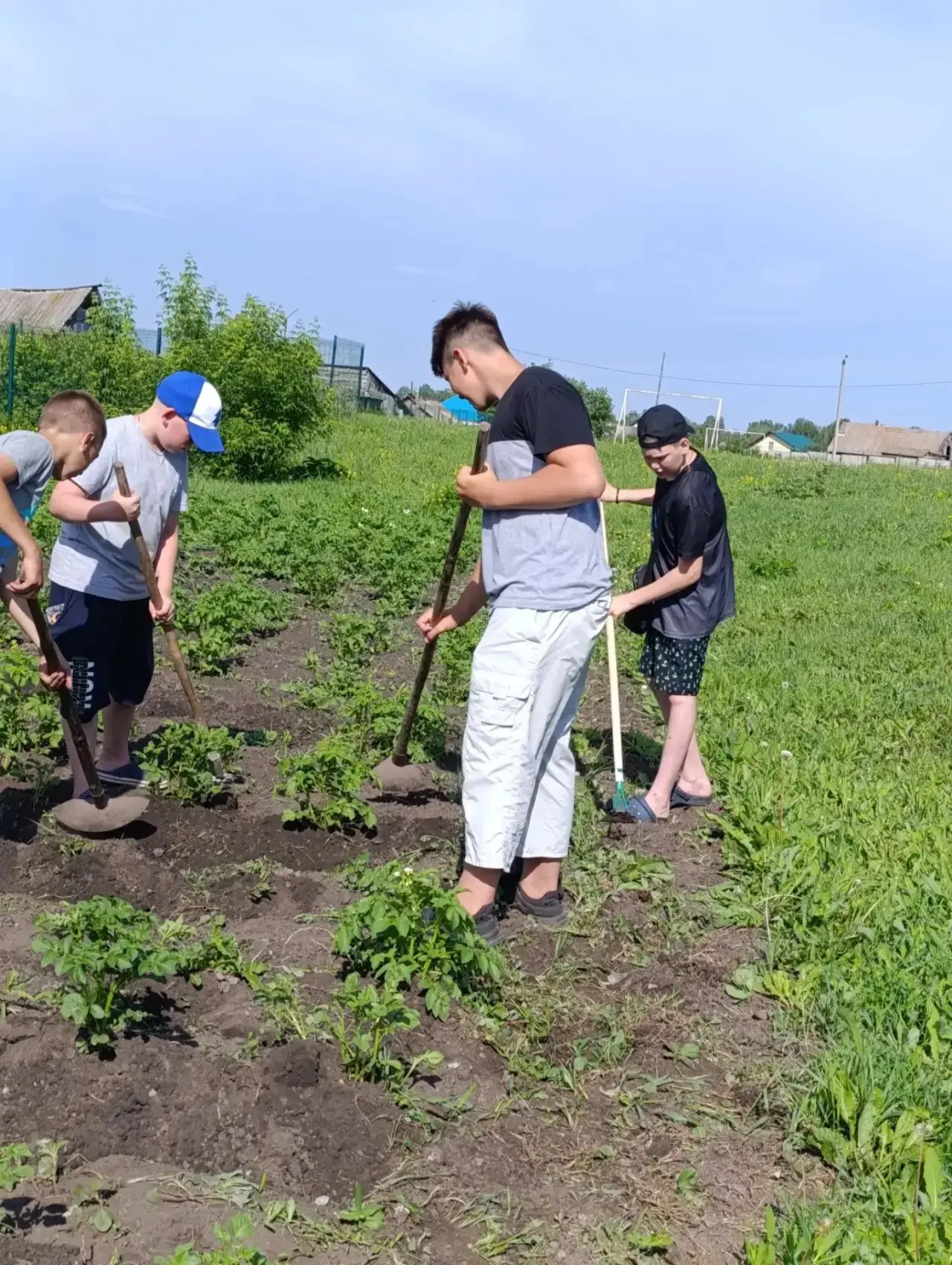 Работа на пришкольном участке продолжается💪 

Проводим не только еженедельные субботники, но и прод