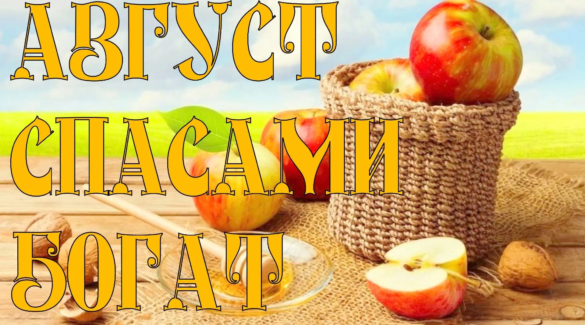 Дорогие друзья!