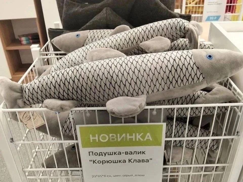 Доброе утро, Питер! ☀️

Легендарная акула Блохэй вернулась. Теперь — наша, петербургская Корюшка Кла