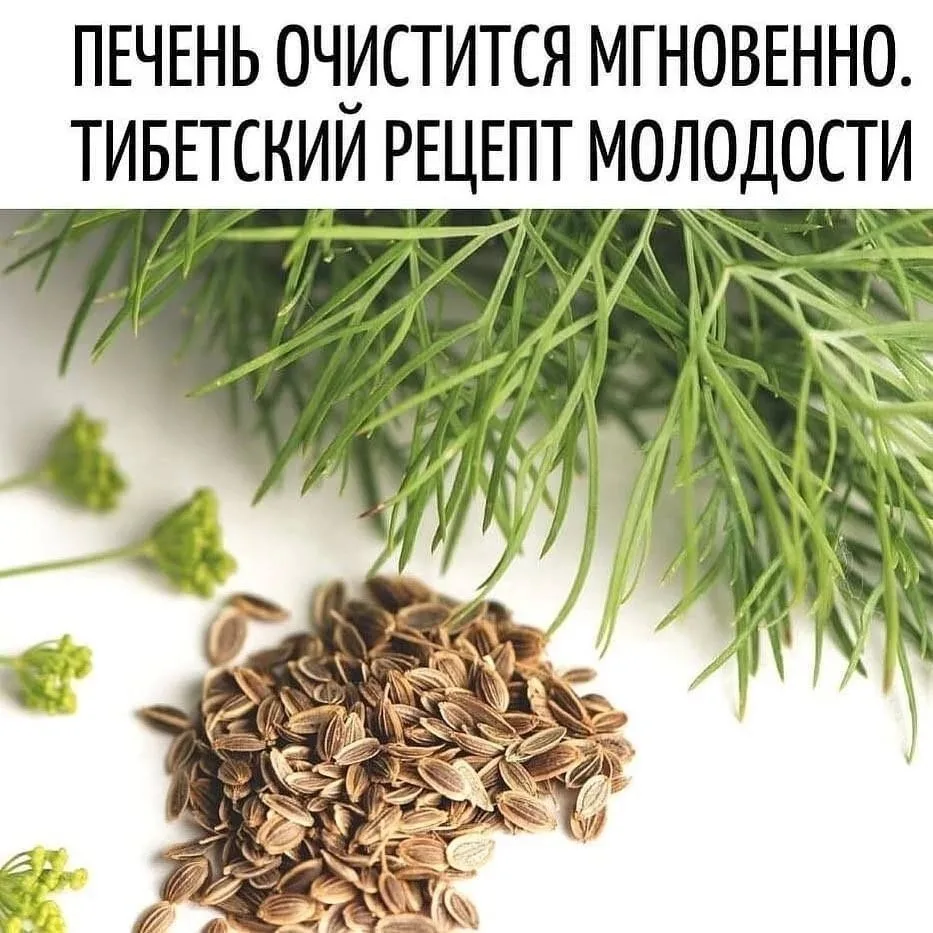 Печень очистится мгновенно ✔️