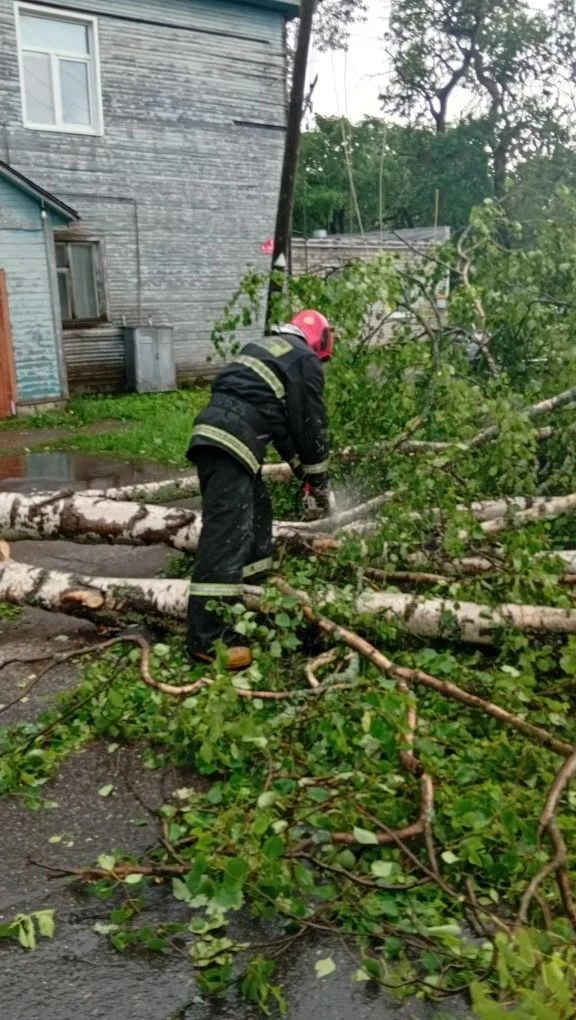 13 июня 2026 года в Олонецком районе прошел циклон поваливший множество деревьев. Для л...