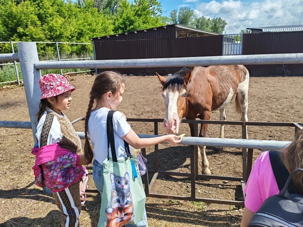 ☀️ "Вместе весело шагать по просторам"

👫 Седьмой день в лагере "Ясень" был насыщен экскурсиями и п