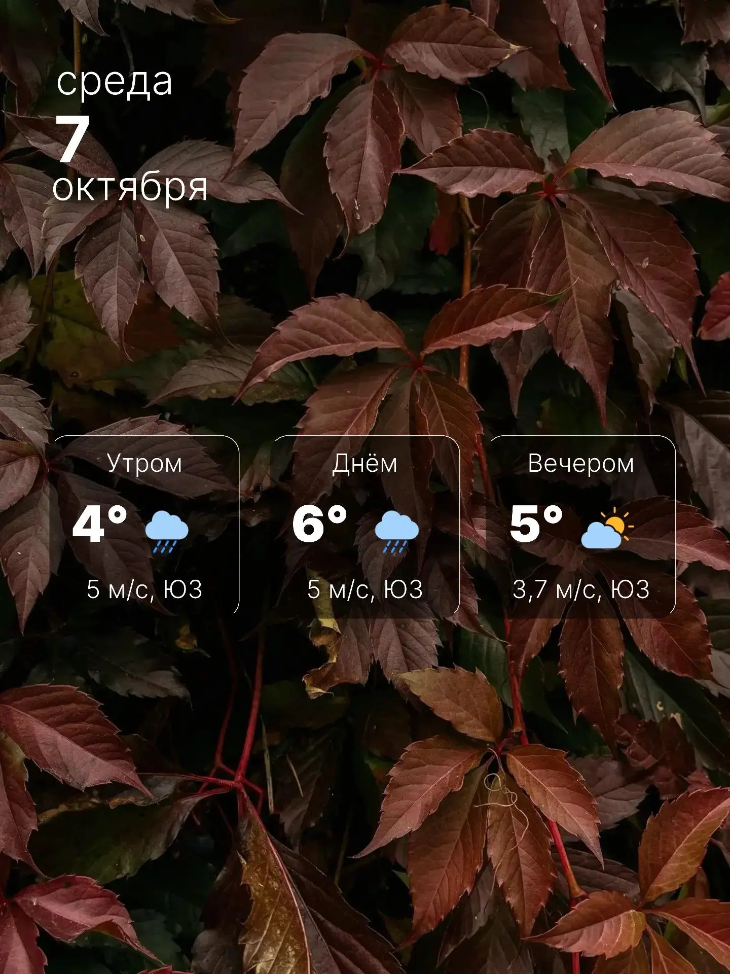 🌬 Непогода продолжается