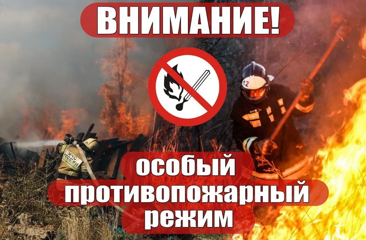 🔥Напоминаем❗️С 1 мая  в Ростовской области установлен особый противопожарный режим.