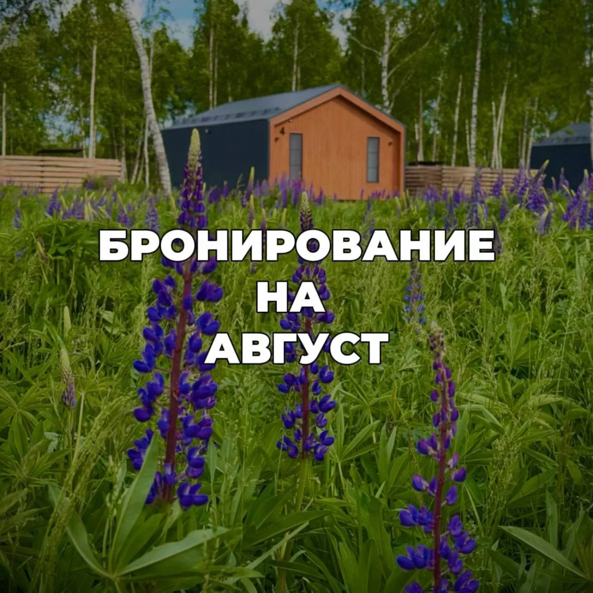 🌼Бронирование на август