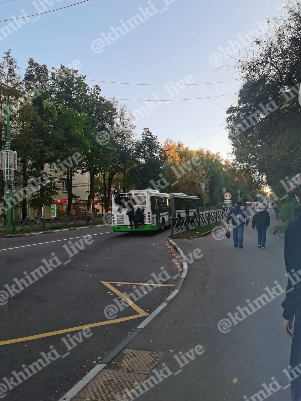 Зацеперов на автобусе опять заметили в Химках