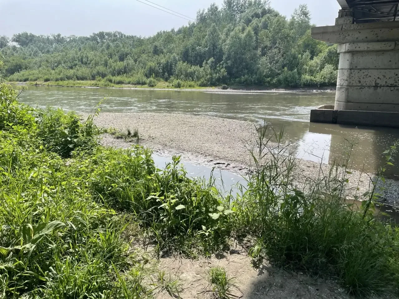 С 22.06-28.06 на берегах реки Ануй работу ведет родительский патруль 2А класса.
