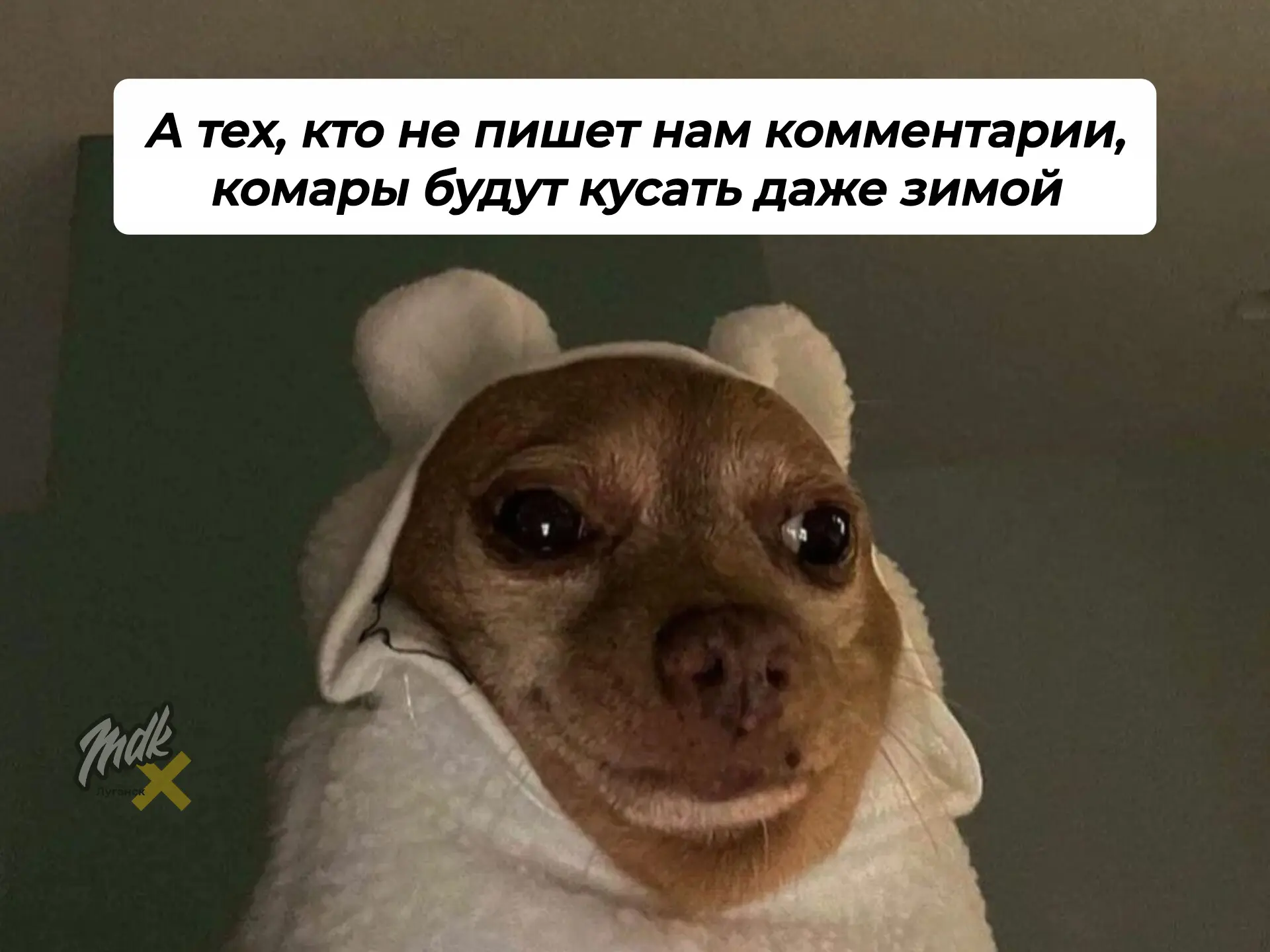 🚀 MAX завёз комменты в каналы

Разрабы пока только тестируют эту фичу, но наши подписчики уже могут