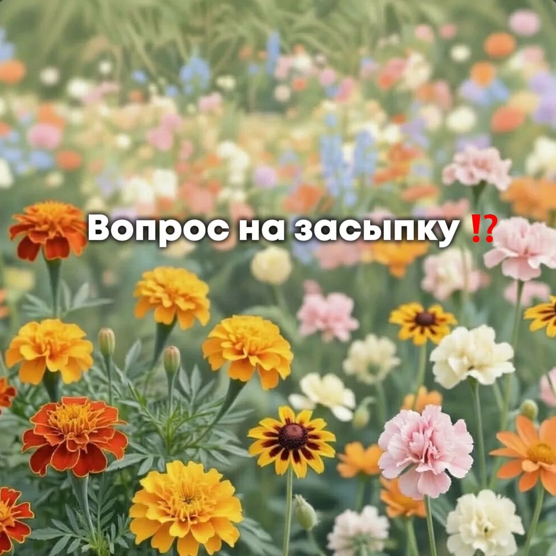 Вопрос на засыпку ⁉️