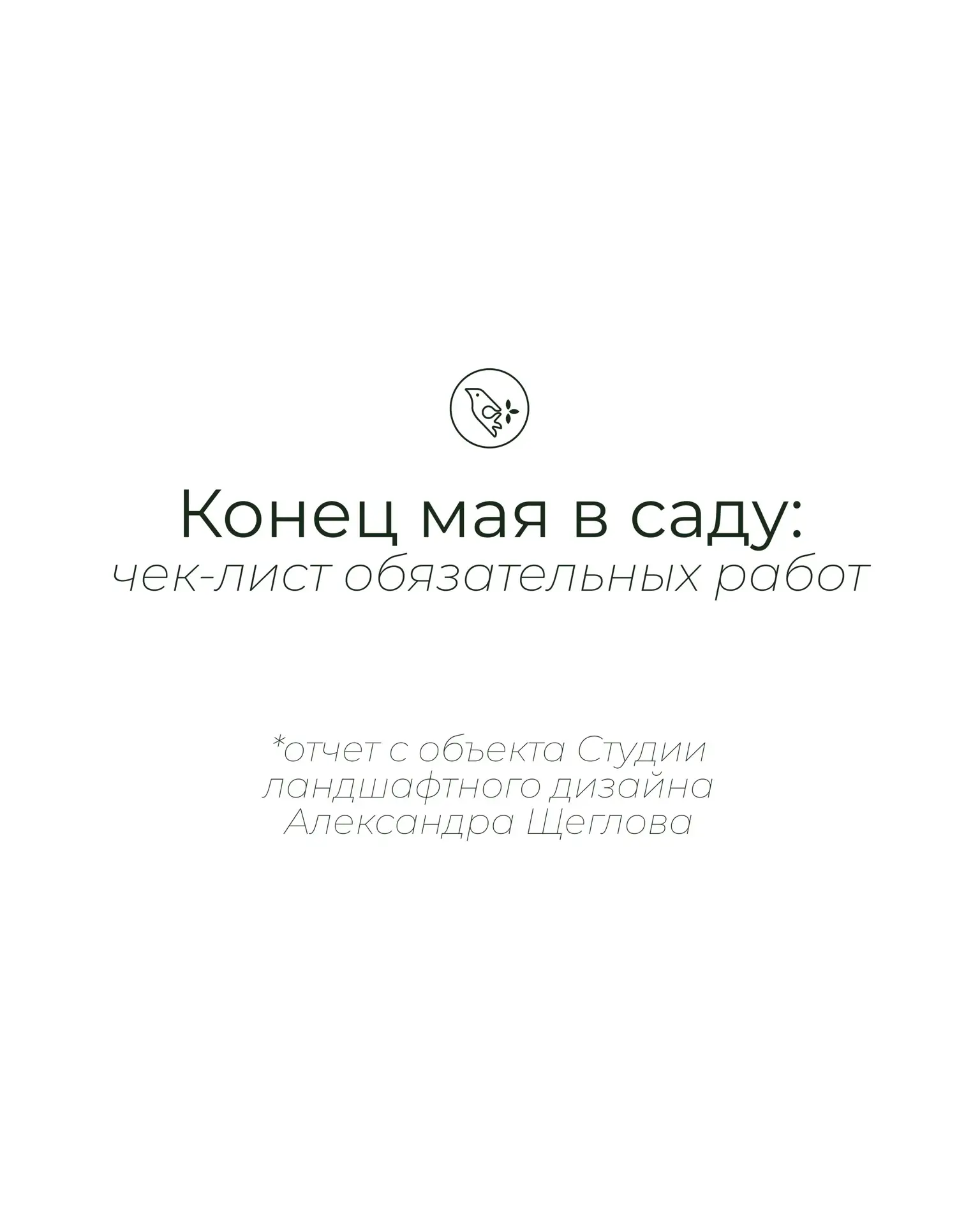 Сад — это живой организм, который не терпит пауз. В Студии Александра Щеглова мы не про...