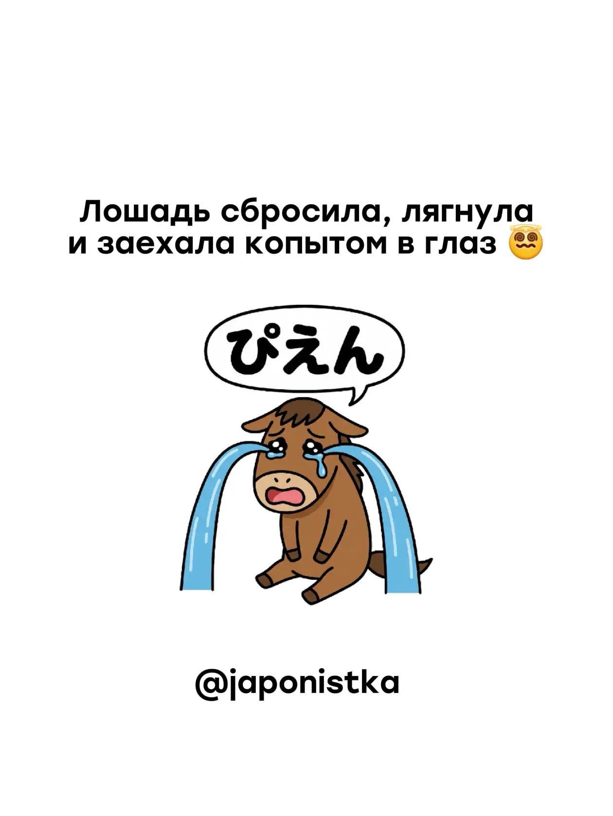 Какая твоя Лошадь 2026 года?🐎

Прошла уже половина года Огненной Лошади, найди свою лошадку👆