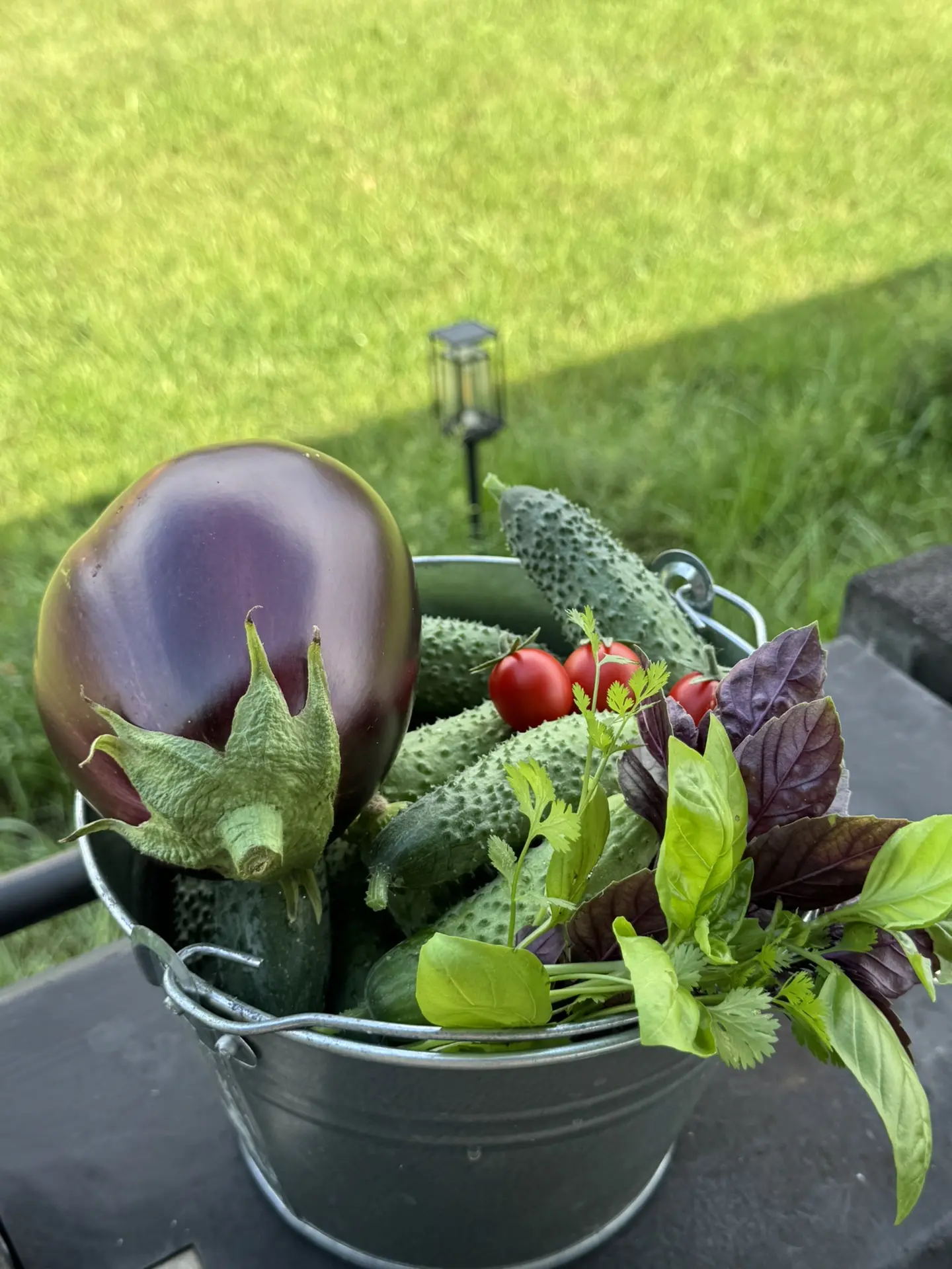 Не просто плоды, а плоды трудов🥒🍆Ждем помидорки