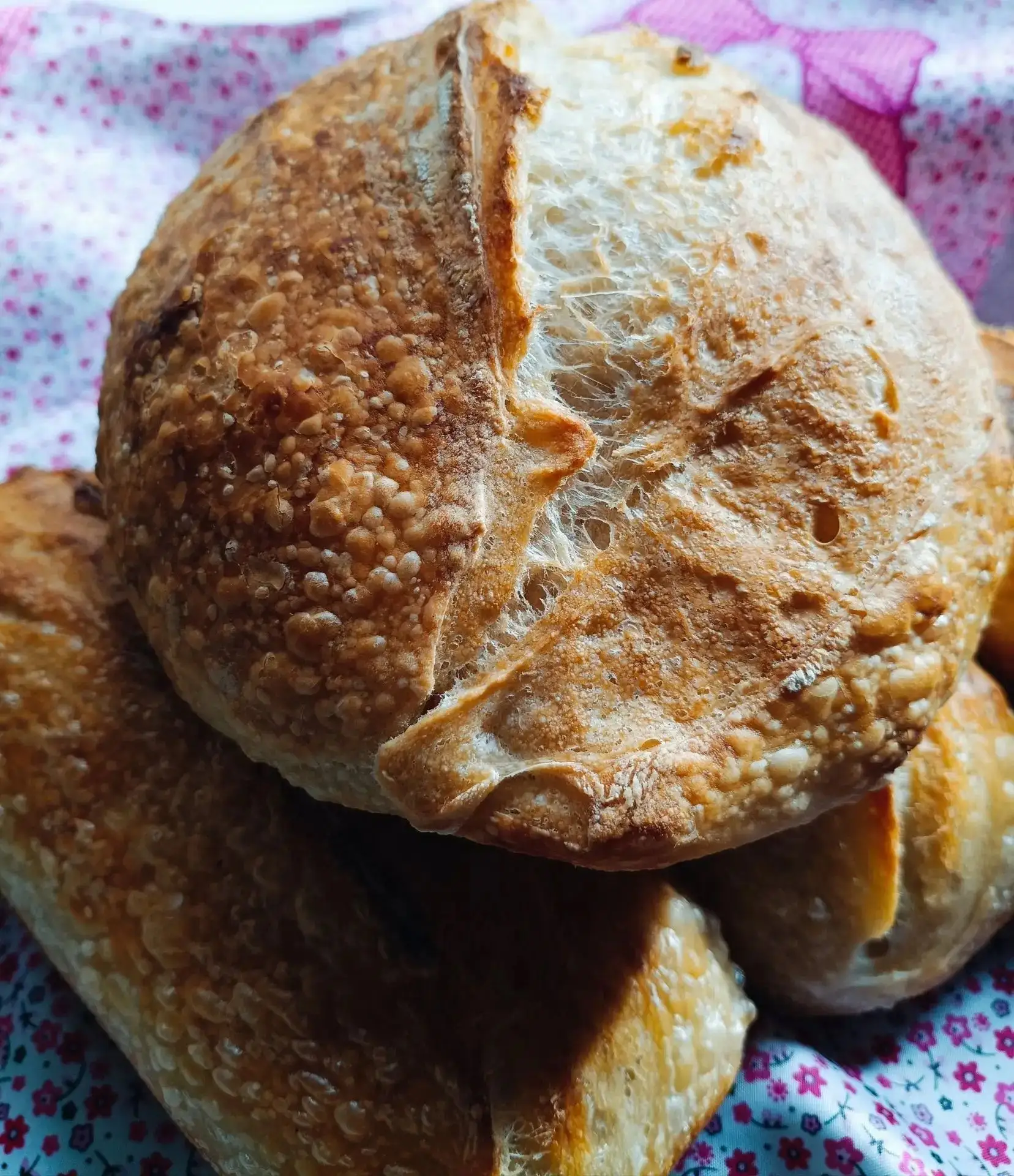 🍞 ХЛЕБ «ТАРТИН» — ЛЕГЕНДА САН-ФРАНЦИСКО НА ЗАКВАСКЕ