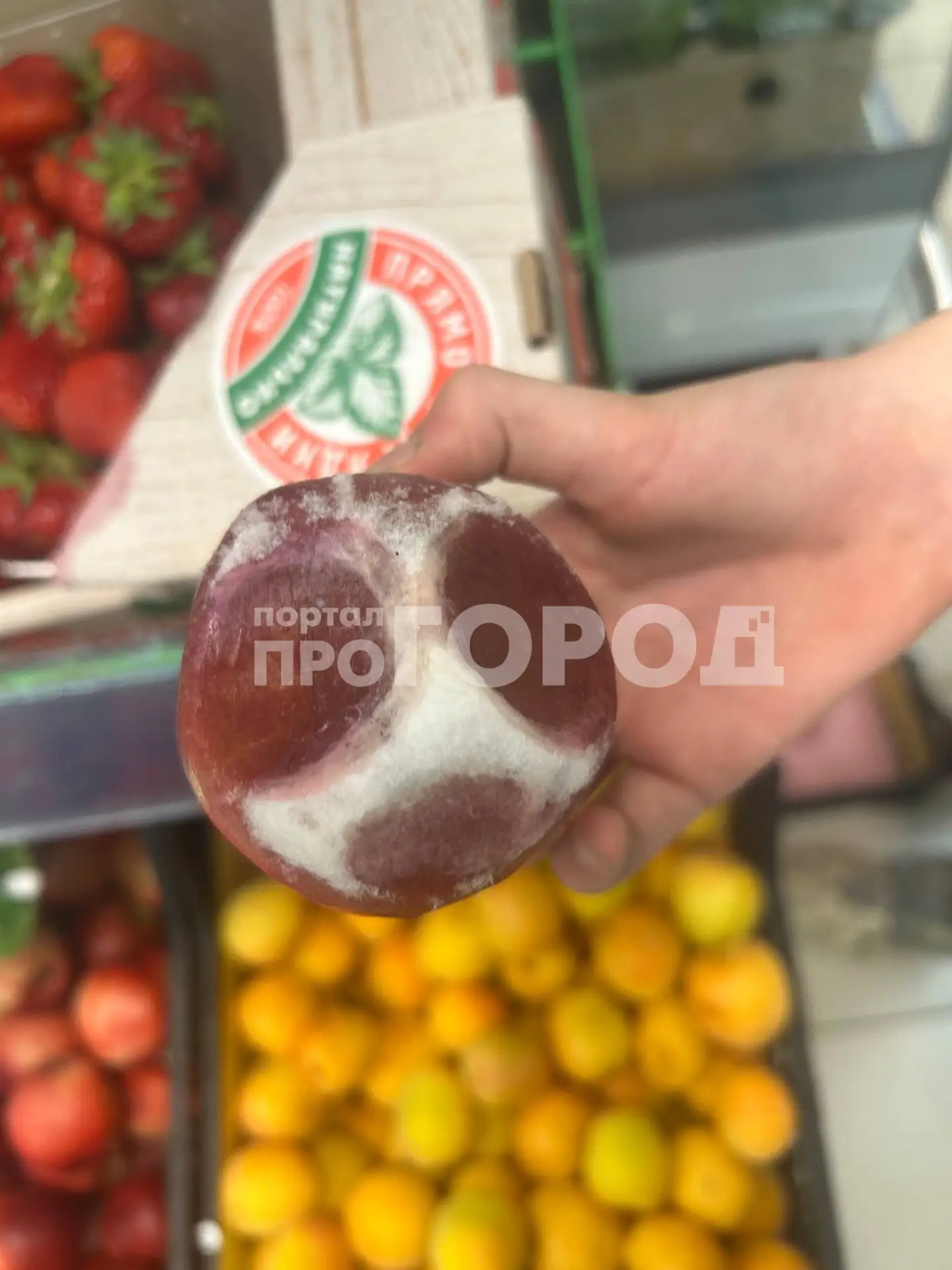 "Вот такие продукты продают в "Пятерочке" по адресу 10-й Пятилетки, 24.

Если вы в этом яйце иноплан