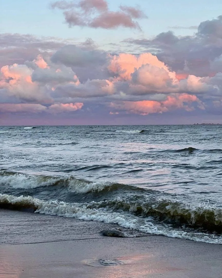 Наслаждаемся красивыми  ⠀ пейзажами Финского залива🌊 

Подпишитесь на нас ❤️‍🔥