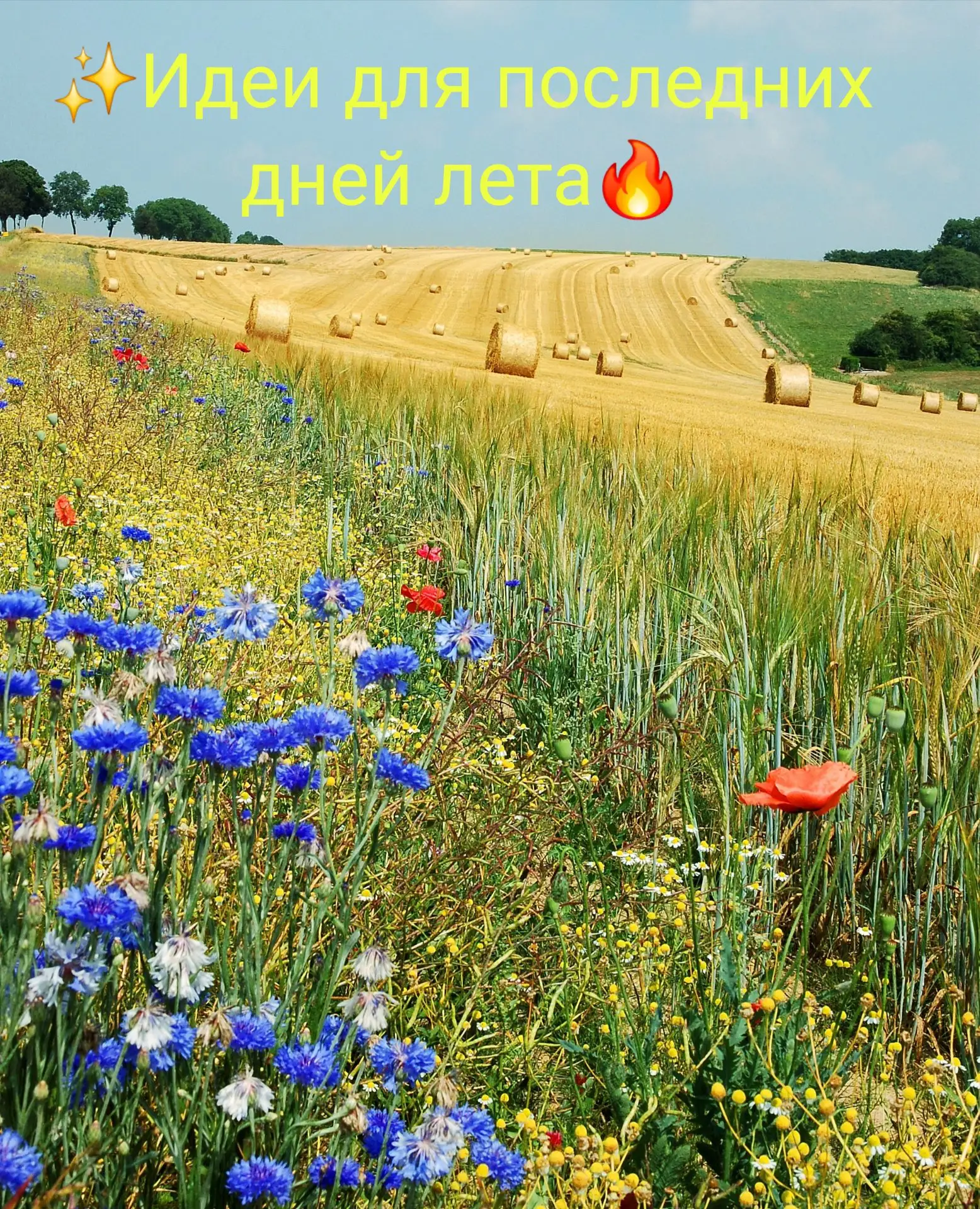 Друзья, август - это не повод паниковать из-за оставшихся дней лета. Мы привыкли думать...