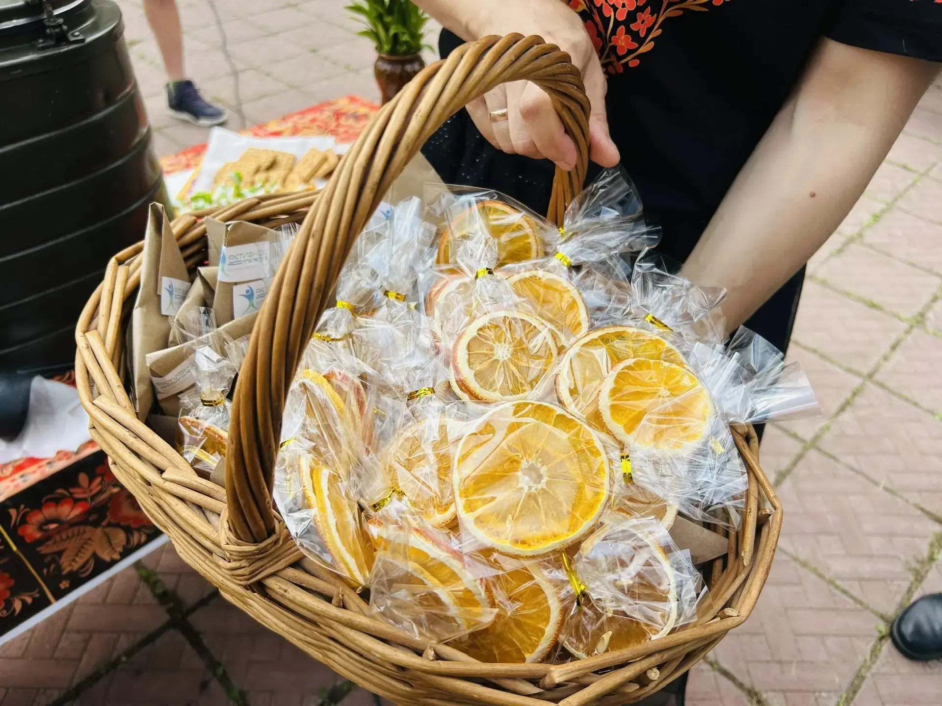 Вкус традиций и польза природы: как прошёл VI областной фестиваль «Активного долголетия»

18 июля со
