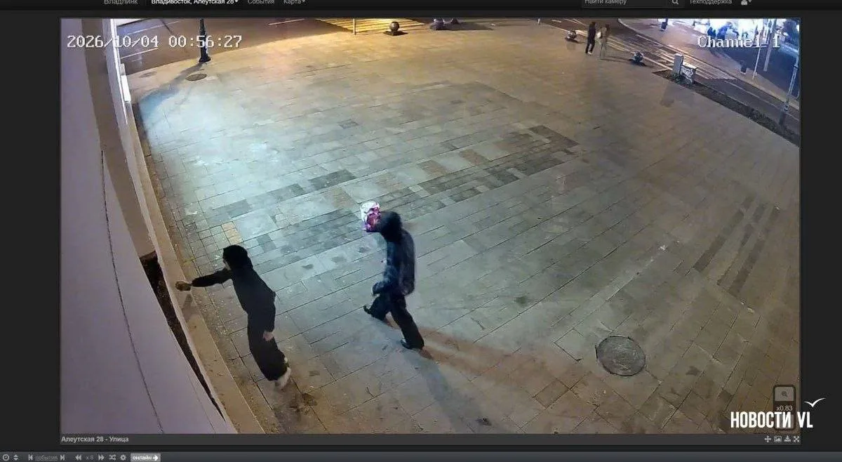 Во Владивостоке старинное здание на Алеутской регулярно атакуют одни и те же вандалы