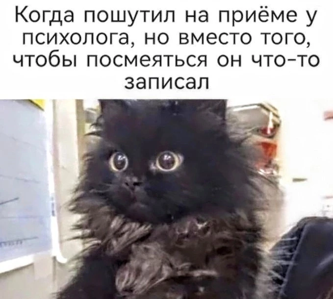 Минутка юмора 🤣🤣🤣