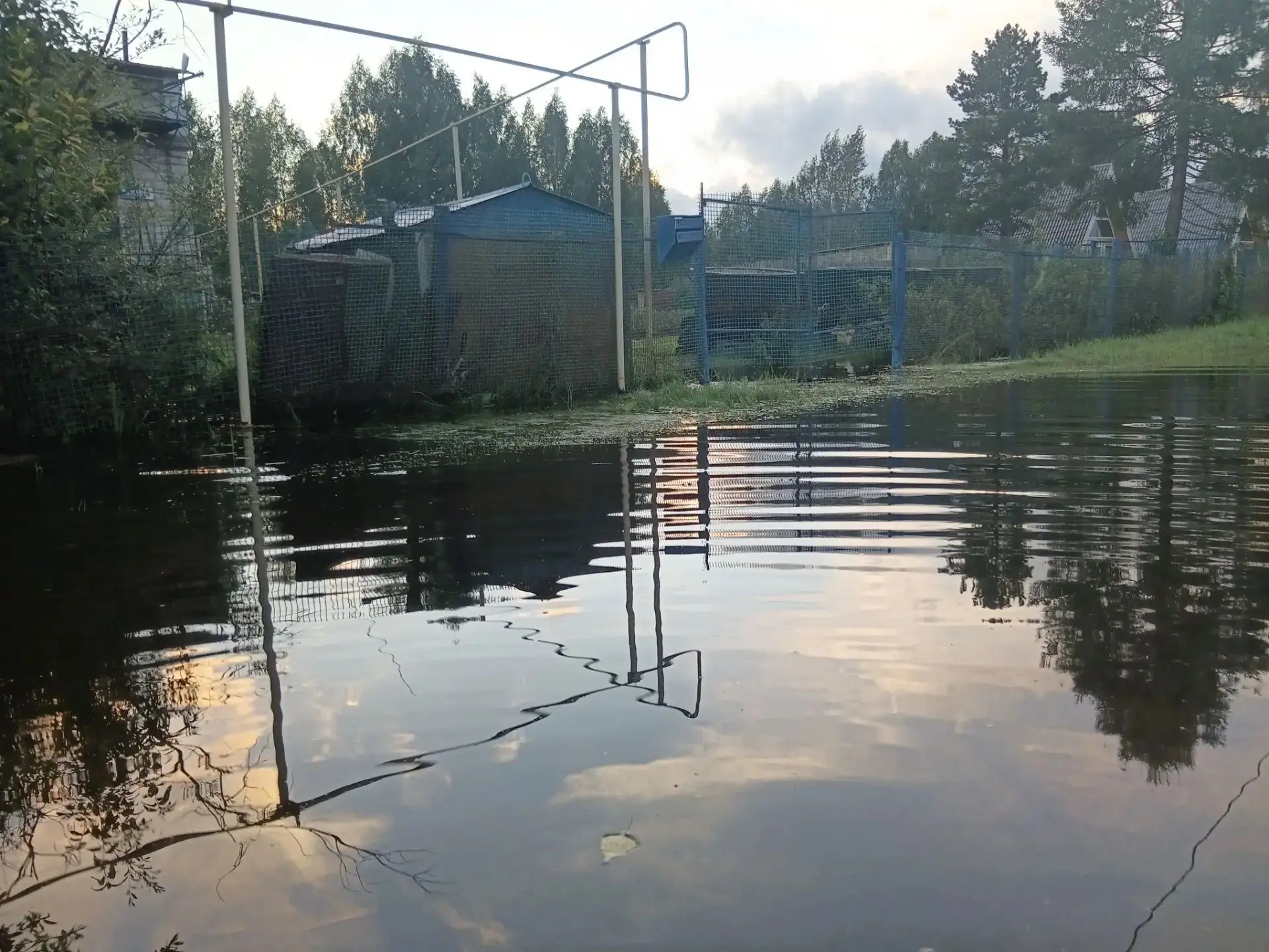 Денис Паслер подписал распоряжение о поддержке аграриев, пострадавших от паводка