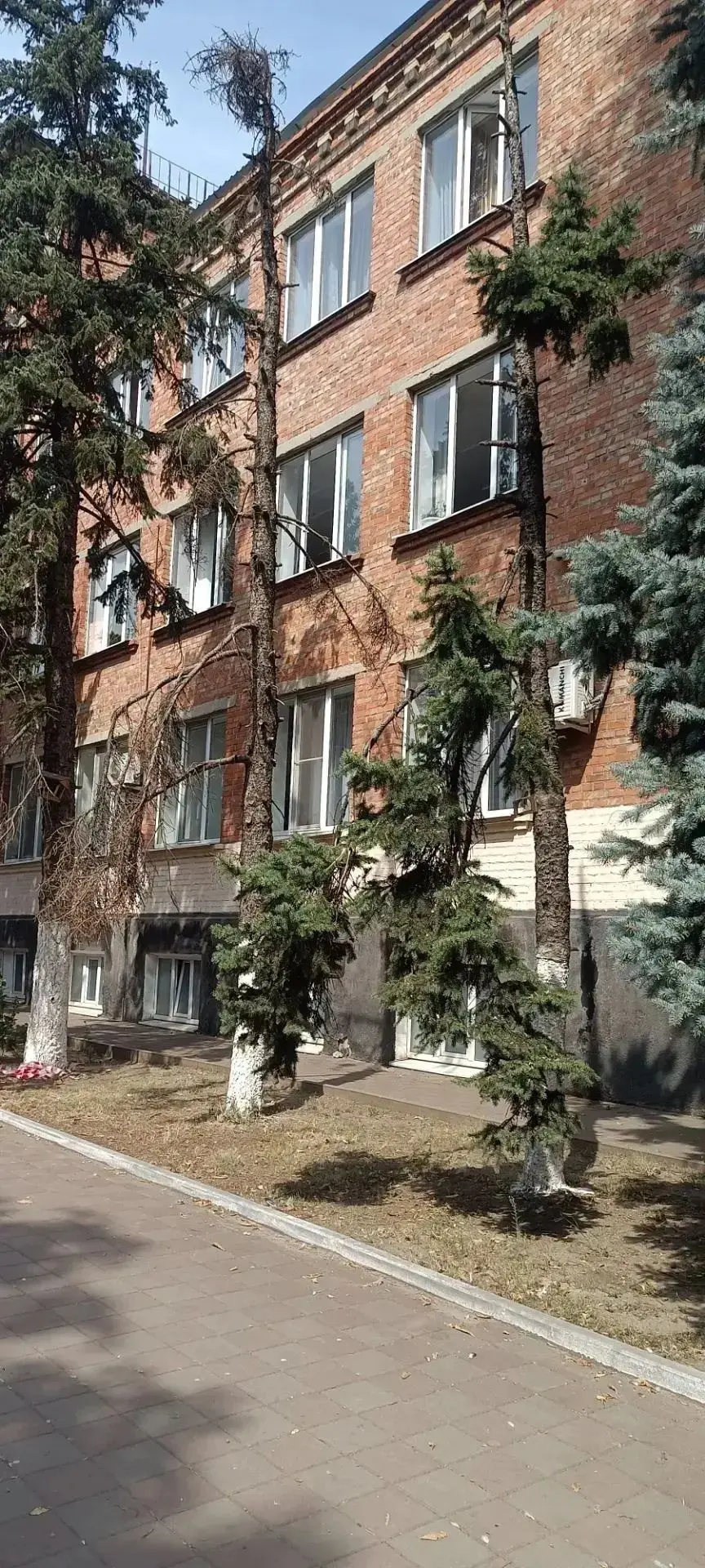Зеленый класс будущего:
