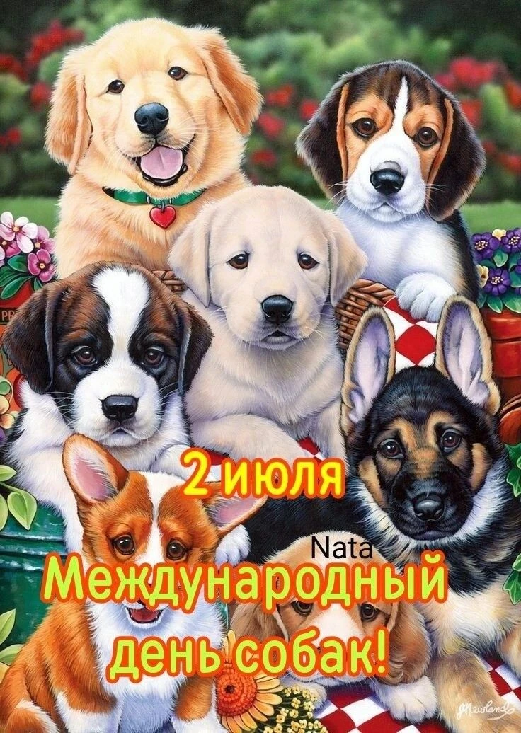 Сегодня в младшей группе "Звёздочки" мы отметили Международный день собак! 🐶С ребятами провели увле
