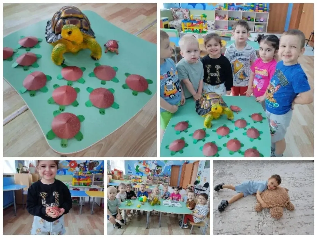 🎉🎉🎉22 Мая День черепахи 🐢
