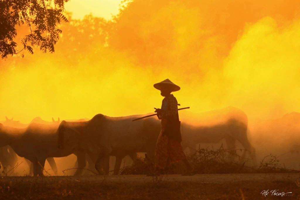 Bagan