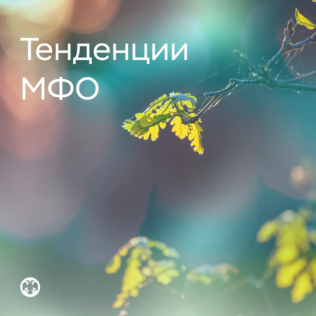 #ТенденцииМФО