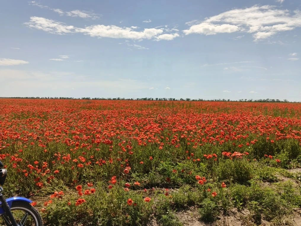 Район Симоновки вот такая красота 😍


Подписаться на БарахолкаЕйск
Прислать новость админу