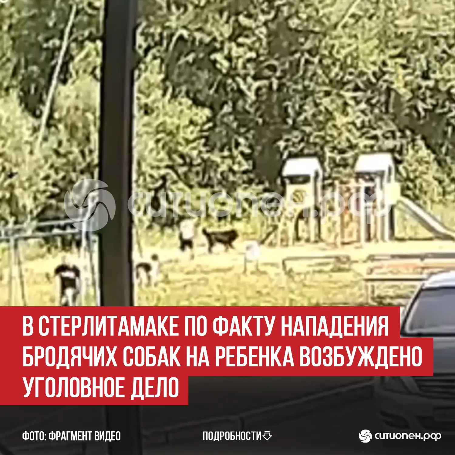 В Стерлитамаке по факту нападения бродячих собак на ребенка возбуждено уголовное дело